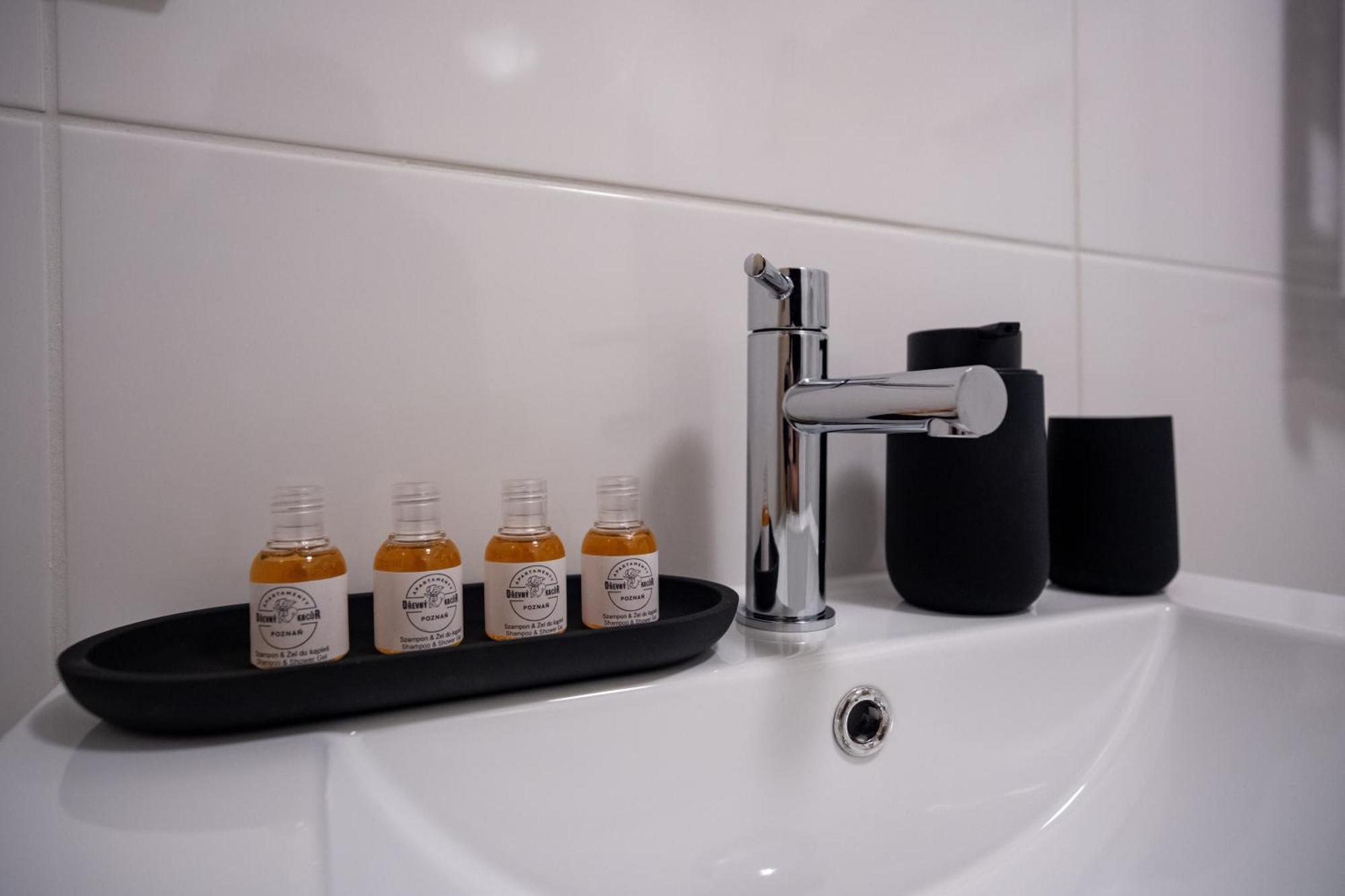 Apartamenty Drevny Kocur Poznaň Exteriér fotografie